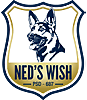 Ned's Wish