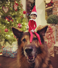 Load image into Gallery viewer, K9 Coffee AWAY ON LEAVE Holiday Edition Medium/Dark Roast Organic Coffee
