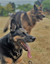 Load image into Gallery viewer, K9 Coffee BIG BARK Dark Roast Organic Coffee