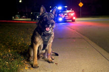 Load image into Gallery viewer, K9 Coffee GUARDIANS of the NIGHT Organic Espresso Roast